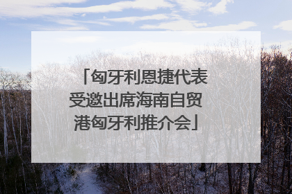 匈牙利恩捷代表受邀出席海南自贸港匈牙利推介会