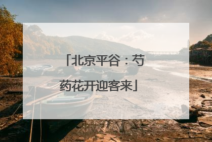 北京平谷：芍药花开迎客来