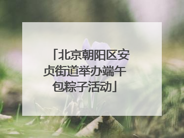 北京朝阳区安贞街道举办端午包粽子活动