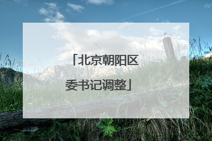 北京朝阳区委书记调整