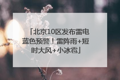 北京10区发布雷电蓝色预警！雷阵雨+短时大风+小冰雹