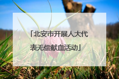 北安市开展人大代表无偿献血活动