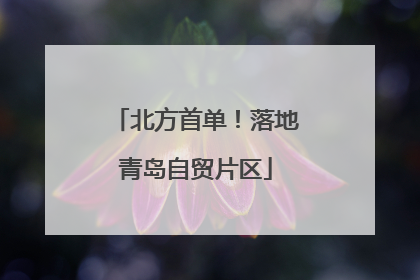 北方首单！落地青岛自贸片区
