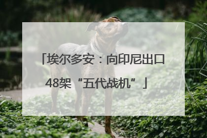 埃尔多安：向印尼出口48架“五代战机”