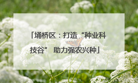 埇桥区：打造“种业科技谷” 助力强农兴种
