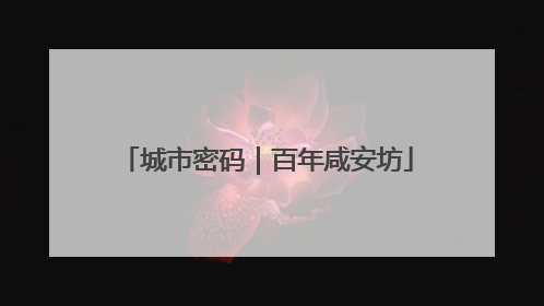 城市密码｜百年咸安坊