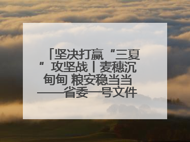坚决打赢“三夏”攻坚战丨麦穗沉甸甸 粮安稳当当——省委一号文件系列解读①