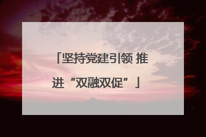 坚持党建引领 推进“双融双促”