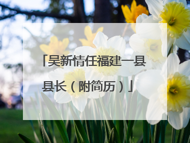 吴新情任福建一县县长（附简历）