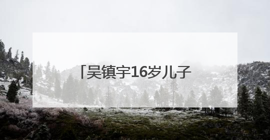 吴镇宇16岁儿子吴费曼因变化太大登上热搜，本人晒搞怪照：如果不喜欢现在的我可以离开