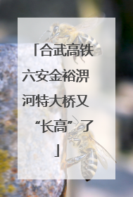 合武高铁六安金裕淠河特大桥又“长高”了