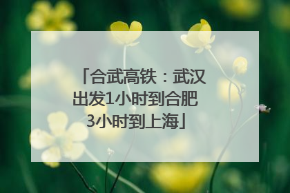合武高铁：武汉出发1小时到合肥3小时到上海