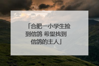合肥一小学生捡到信鸽 希望找到信鸽的主人