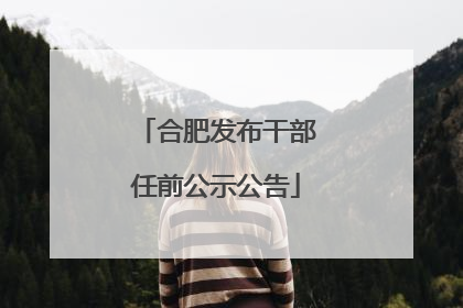 合肥发布干部任前公示公告