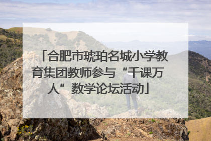 合肥市琥珀名城小学教育集团教师参与“千课万人”数学论坛活动