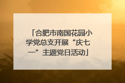 合肥市南国花园小学党总支开展“庆七一”主题党日活动