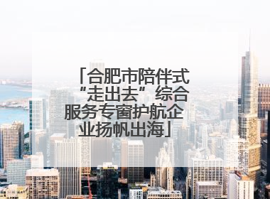 合肥市陪伴式“走出去”综合服务专窗护航企业扬帆出海