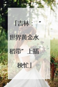 吉林：“世界黄金水稻带”上插秧忙