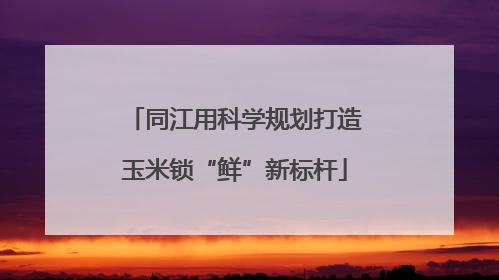 同江用科学规划打造玉米锁“鲜”新标杆