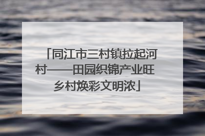 同江市三村镇拉起河村——田园织锦产业旺 乡村焕彩文明浓