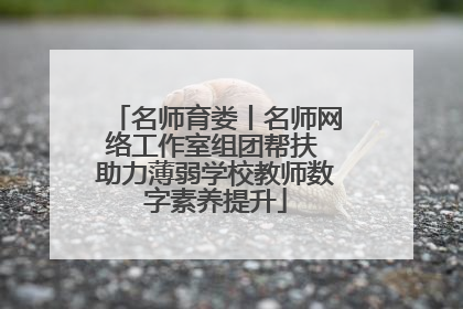 名师育娄丨名师网络工作室组团帮扶 助力薄弱学校教师数字素养提升