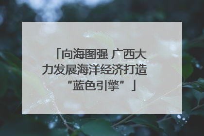 向海图强 广西大力发展海洋经济打造“蓝色引擎”