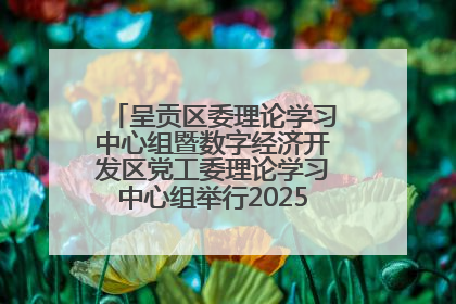 呈贡区委理论学习中心组暨数字经济开发区党工委理论学习中心组举行2025年第七次学习会议