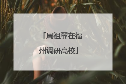周祖翼在福州调研高校