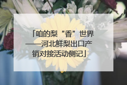 咱的梨“香”世界——河北鲜梨出口产销对接活动侧记