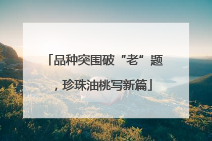 品种突围破“老”题，珍珠油桃写新篇