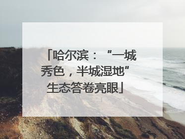 哈尔滨：“一城秀色，半城湿地”生态答卷亮眼