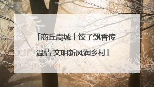 商丘虞城丨饺子飘香传温情 文明新风润乡村