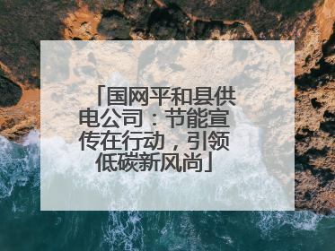 国网平和县供电公司：节能宣传在行动，引领低碳新风尚