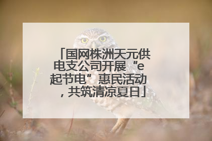 国网株洲天元供电支公司开展“e起节电”惠民活动，共筑清凉夏日