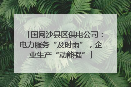 国网沙县区供电公司：电力服务“及时雨”，企业生产“动能强”