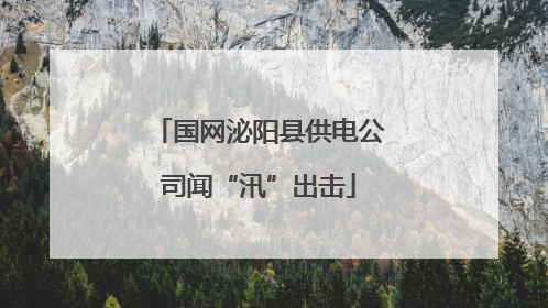 国网泌阳县供电公司闻“汛”出击