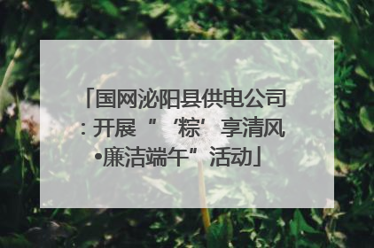 国网泌阳县供电公司：开展“‘粽’享清风 •廉洁端午”活动