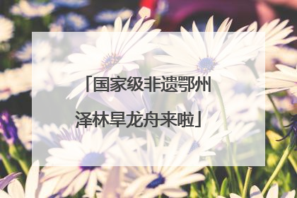 国家级非遗鄂州泽林旱龙舟来啦
