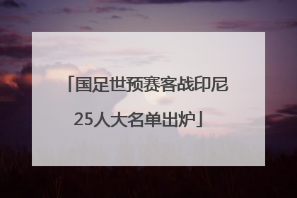 国足世预赛客战印尼25人大名单出炉