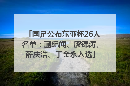国足公布东亚杯26人名单：蒯纪闻、廖锦涛、薛庆浩、于金永入选