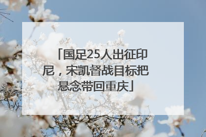 国足25人出征印尼，宋凯督战目标把悬念带回重庆