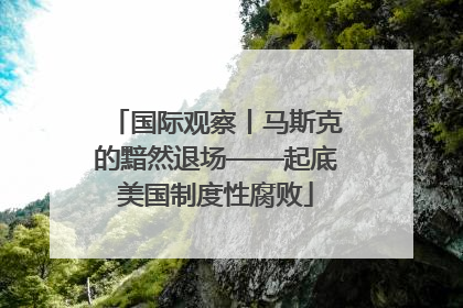 国际观察丨马斯克的黯然退场——起底美国制度性腐败