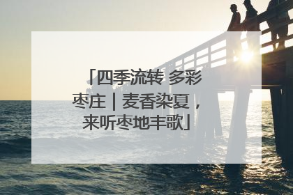 四季流转 多彩枣庄｜麦香染夏，来听枣地丰歌