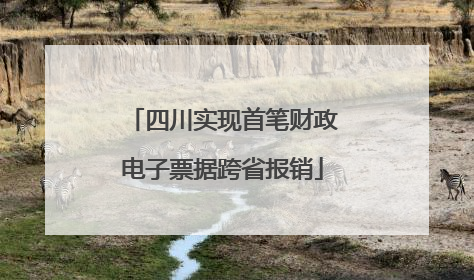 四川实现首笔财政电子票据跨省报销