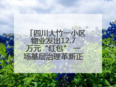 四川大竹一小区物业发出12.7万元“红包” 一场基层治理革新正在达州展开