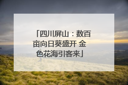 四川屏山：数百亩向日葵盛开 金色花海引客来