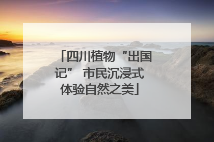 四川植物“出国记” 市民沉浸式体验自然之美