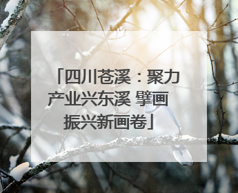 四川苍溪：聚力产业兴东溪 擘画振兴新画卷