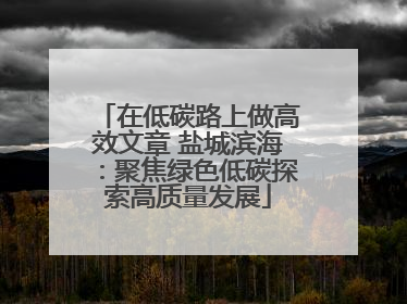 在低碳路上做高效文章 盐城滨海：聚焦绿色低碳探索高质量发展
