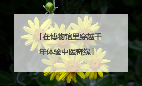 在博物馆里穿越千年体验中医奇缘